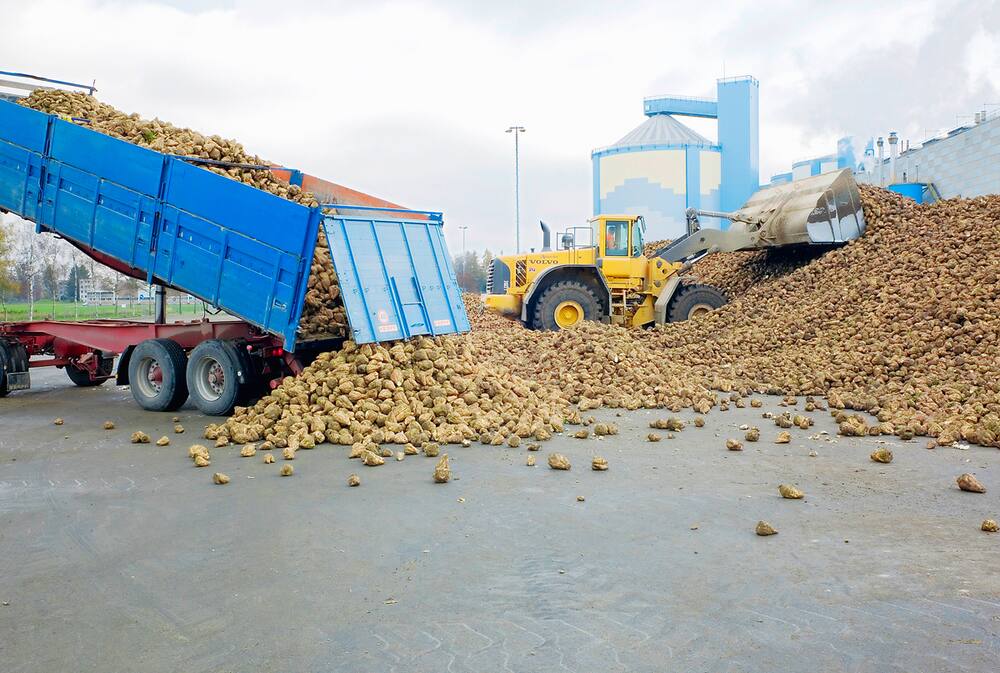 Schweizer Zuckerindustrie bedroht: Zucker-Deal macht Welsche sauer - Blick