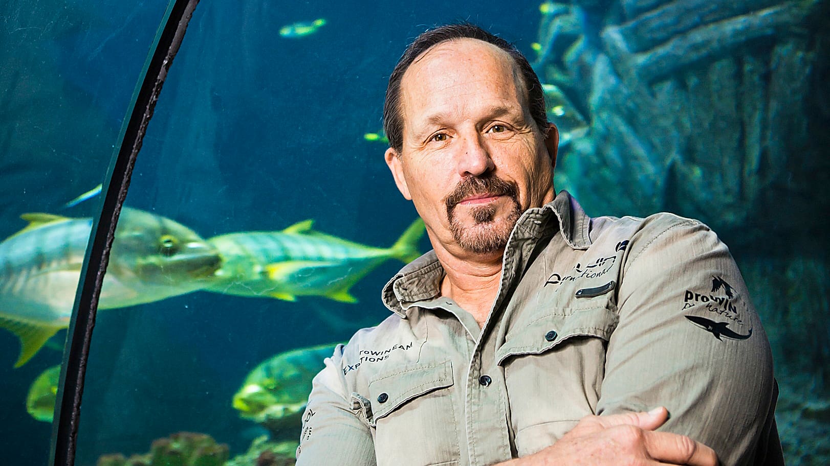 Hai-Forscher Erich Ritter im Interview: «Haie haben Charakter» - Blick