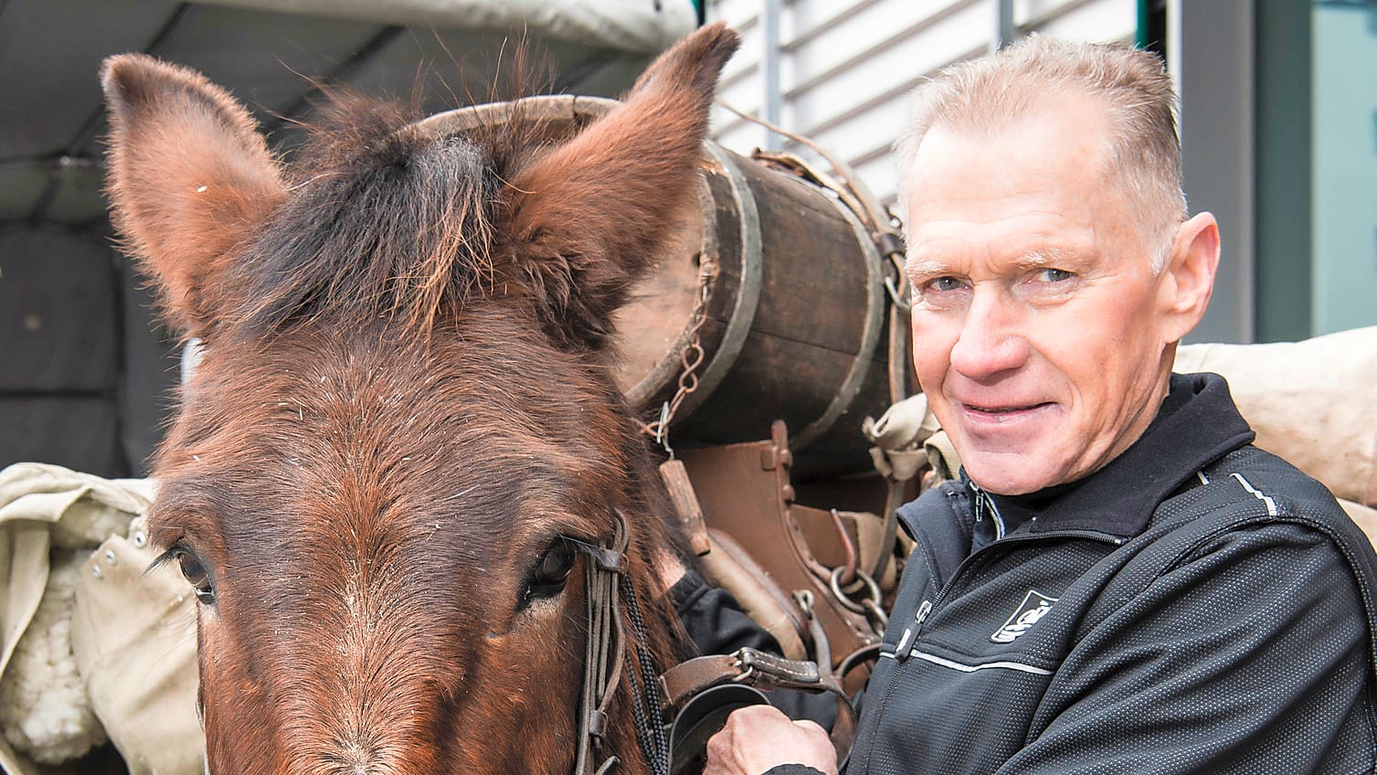 Maultier statt Drahtesel RadquerKönig Albert Zweifel wird TVStar Blick