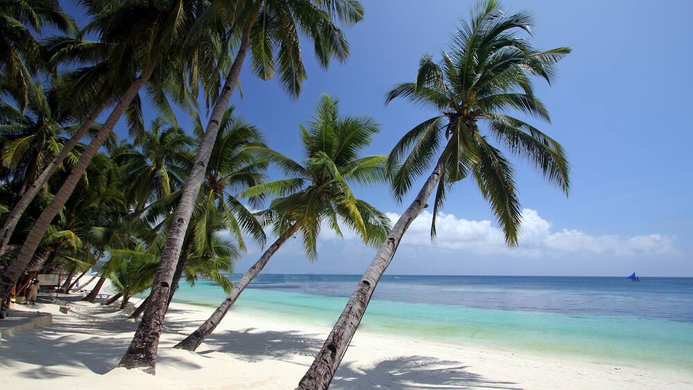 Die 3 schönsten Inseln der Philippinen - Unser Geheimtipp - Blick