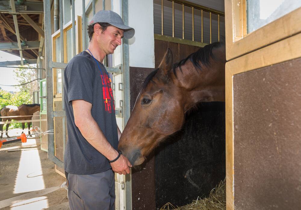 Besuch beim Olympiasieger: Das ist Guerdats neues Pferde-Paradies - Blick pferd rüggeberg