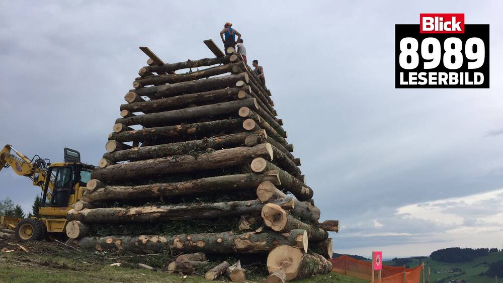 16 Meter hoch, 50 Tonnen Holz: Entsteht hier das grösste 1 ...