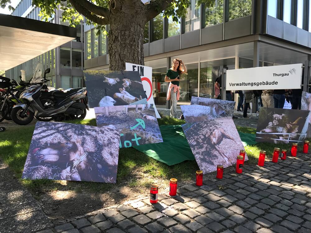 Demonstranten vor dem Thurgauer Regierungsgebäude in Frauenfeld.