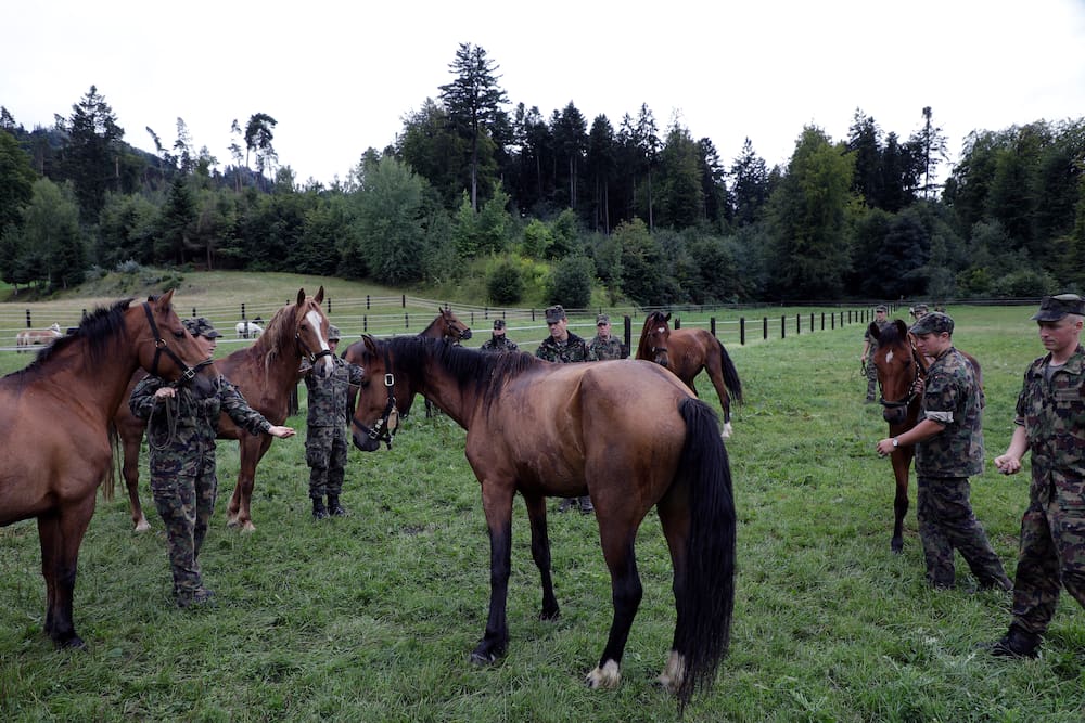 Die Armee-Angehörigen bringen die Pferde auf die Weide.