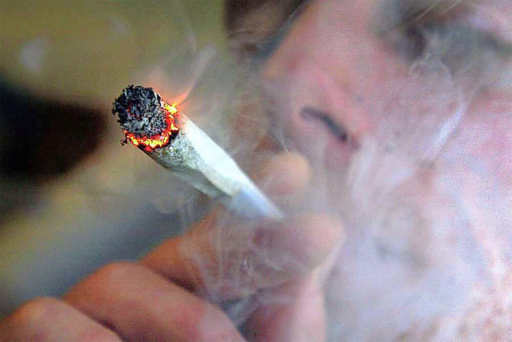 Weil BAG KifferStudie verbietet Drogenkommission hofft auf