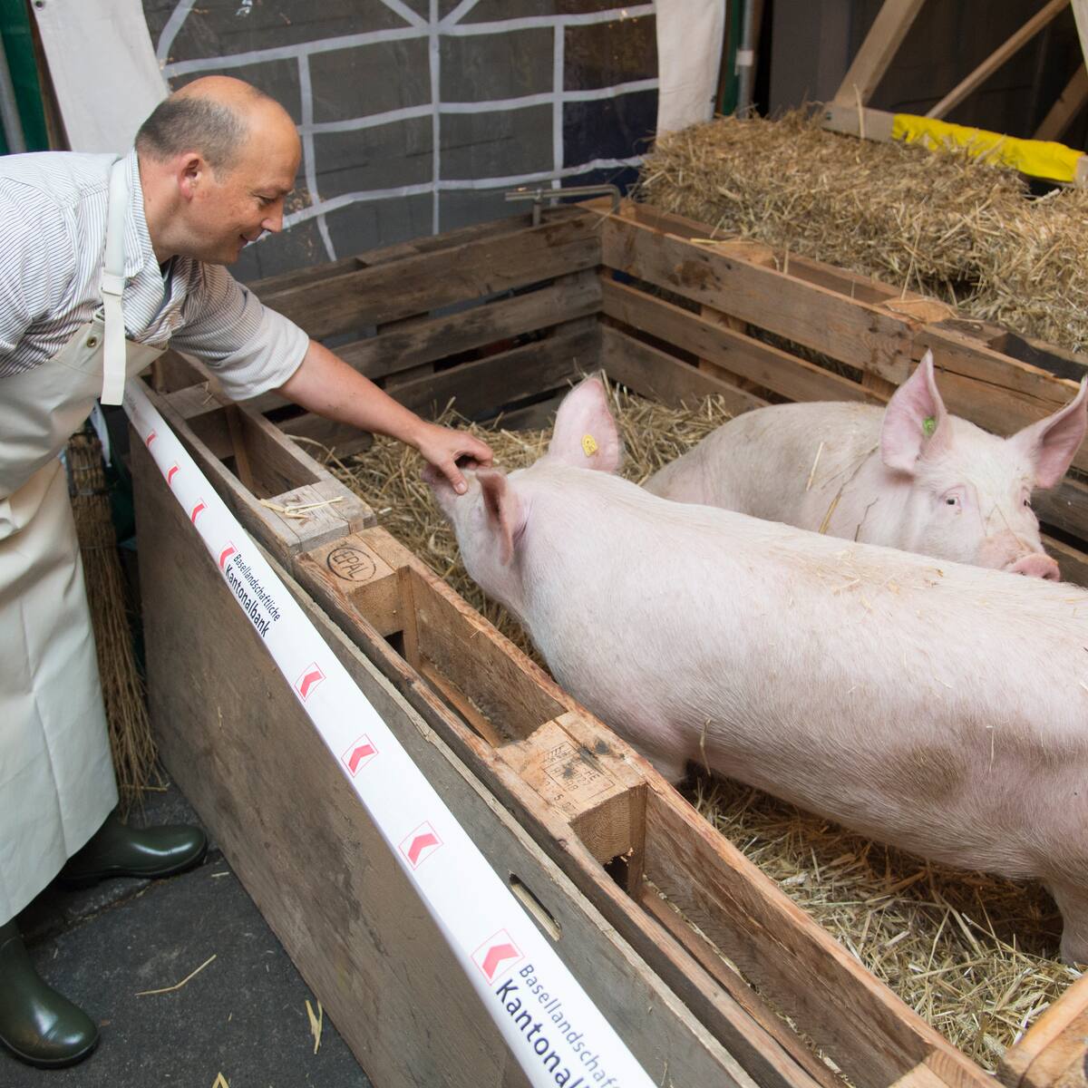 Metzgerin hausschlachtung Flickr: Discussing