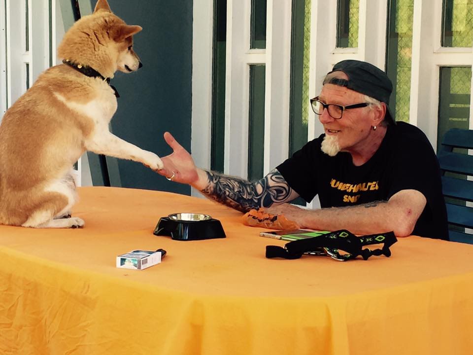 Ernst Krüsi ist Hundetrainer und Tierpsychologe. Für ihn sind die aktuellen Fälle aus Deutschland keine Überraschung.