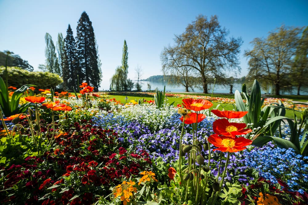Die Blumeninsel Mainau Im Bodensee QIZR die-blumeninsel-mainau-im-bodensee-qizr