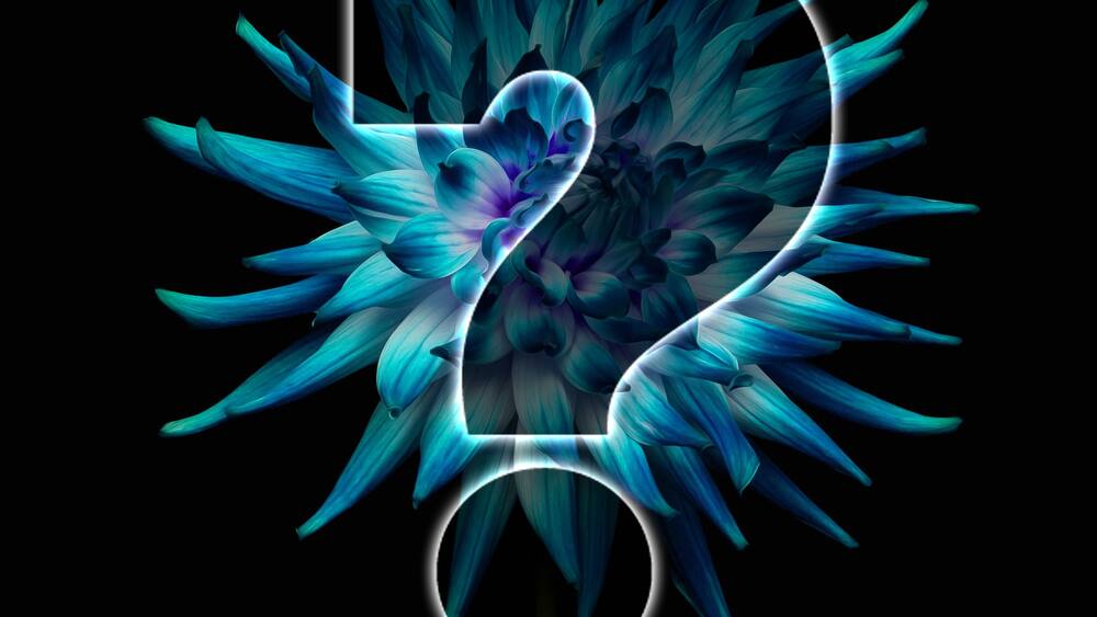 Die grosse Frage Blick