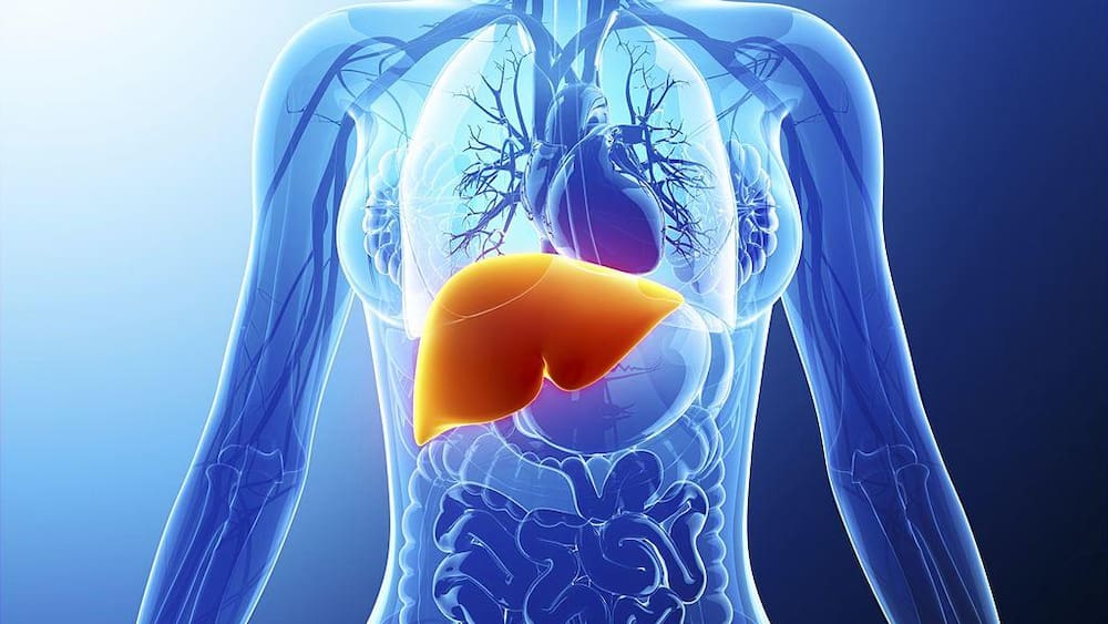 Was ist eigentlich Hepatitis? Formen, Symptome, Behandlung - Blick