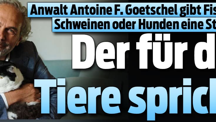 Anwalt Antoine F. Goetschel will mit Tieren an die Uno Blick