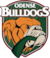 Odense Bulldogs