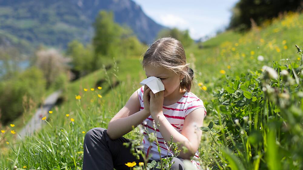 Allergien: Allergiker leiden derzeit besonders stark wegen der Gräserpollen