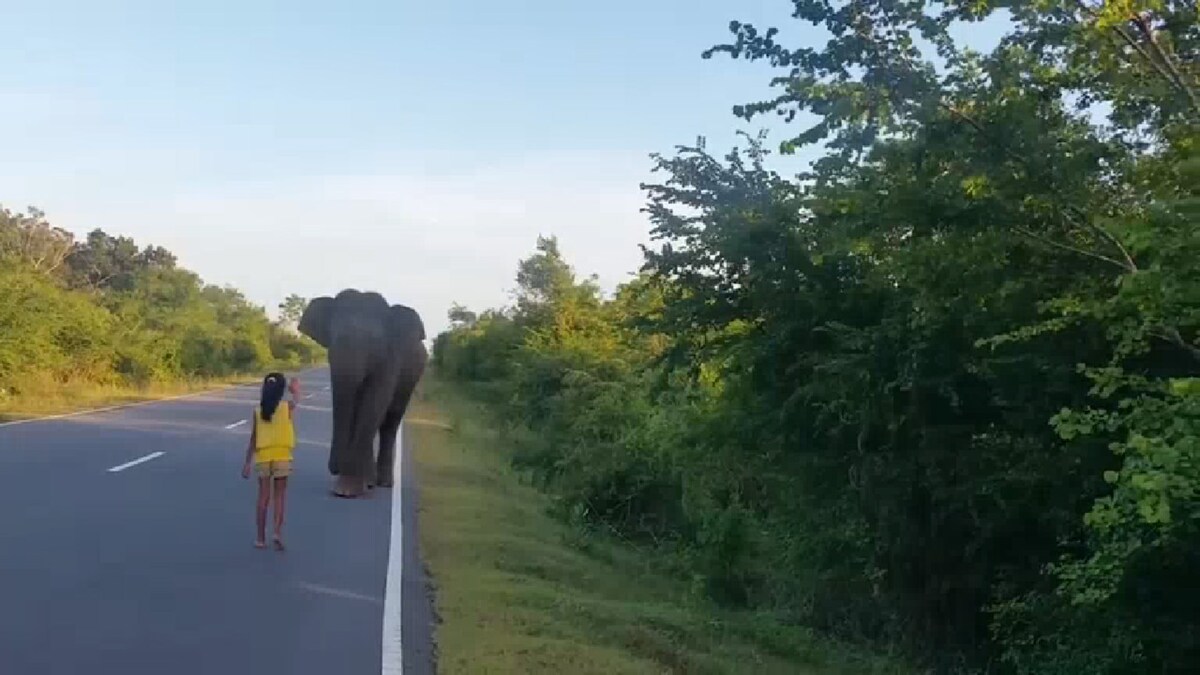 Https Www Blick Ch Blick Tipps Blick Tipp Der Verschluss Aus Die Hoehle Der Loewen Und Es Hat Zzysh Gemacht Id5622631 Html 2021 09 06t07 22 03 000z Weekly Https Www Blick Ch People Tv Fotostory Heiss Heisser Xenia Ist Das Jetzt Schon Sex On The