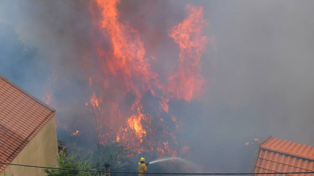 Bei Waldbrand auf Madeira gibt es drei Tote - Blick Bei Waldbrand auf Madeira gibt es drei Tote - Blick
