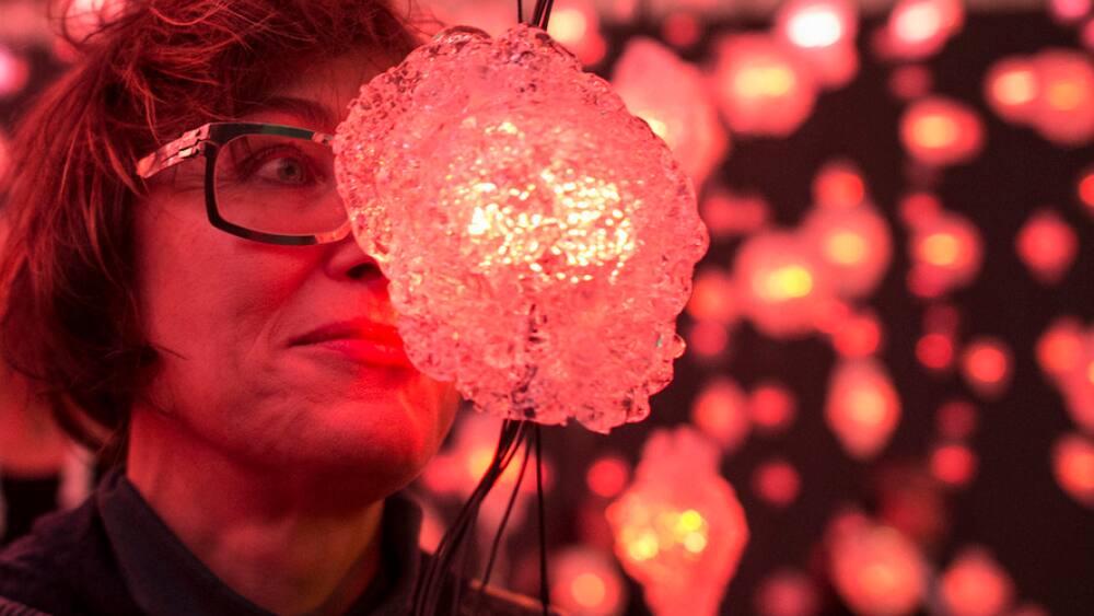 Pipilotti Rist beschert Kunsthaus Zürich gute Saison Blick