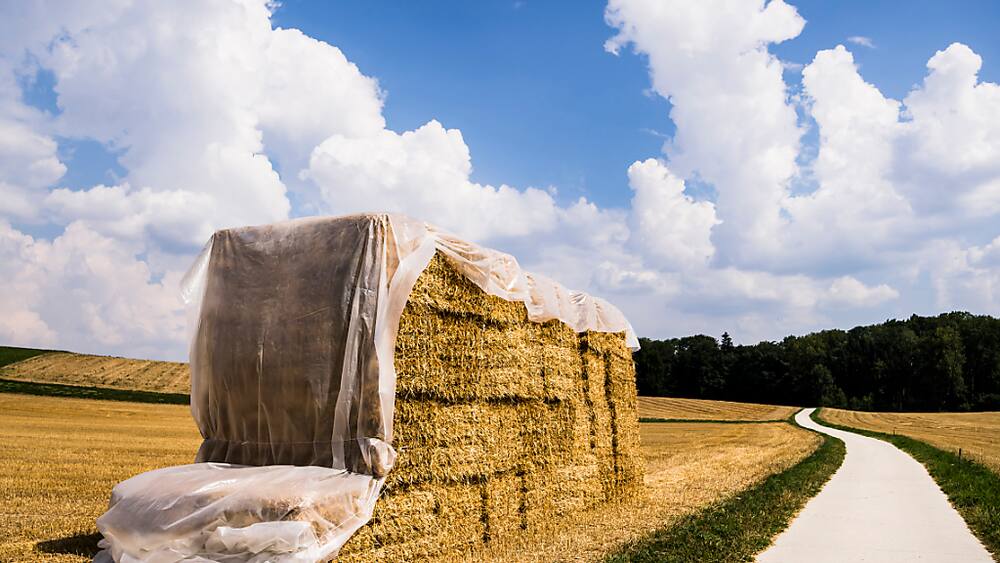 Bauern-Komitee hält Agrarinitiativen für zu extrem - Blick Bauern-Komitee hält Agrarinitiativen für zu extrem - Blick